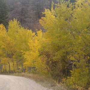 Meet your Posher, Carol